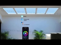 Sztuczny podrobiony sufit LED panelu świetlika producent najlepsza cena