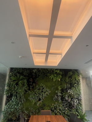 kupować Rectangle Faux Skylight Panels 220mm Highness Customizable Solutions produkcja online