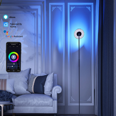 Multi Scene DC 24V RGB Lamp Corner, Voice Command Lampa podłogowa LED RGB
