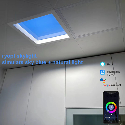 Wskaźnik mocy 0,9 Led Panel Lights Do Dom Lampa Terapii Dla Starszych I Młodszych