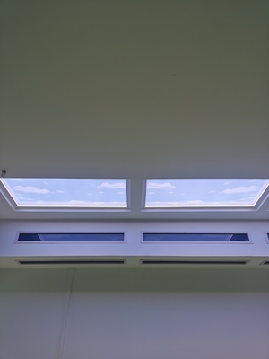 Aluminiowe światło latarni LED z trwałym aluminiowym obudową i jasną temperaturą koloru 2100K-7500K